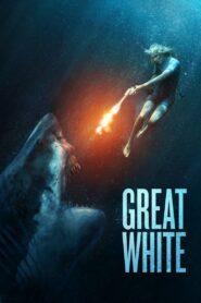 Great White (2021) ฉลามขาวเพชฌฆาต