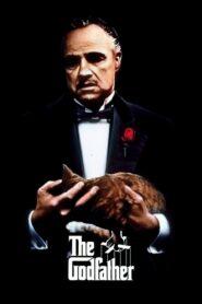 The Godfather (1972) เดอะ ก็อดฟาเธอร์ ภาค 1
