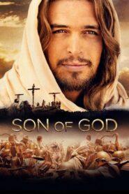 Son of God (2014) ซอน ออฟ ก๊อด บุตรแห่งพระเจ้า