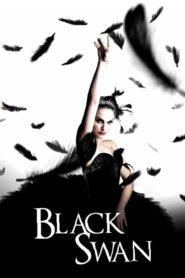 Black Swan (2010) แบล็ค สวอน