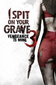 I Spit on Your Grave 3 Vengeance is Mine (2015) เดนนรก ต้องตาย 3