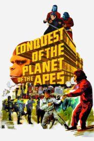 Conquest of the Planet of the Apes 4 (1972) มนุษย์วานรตลุยพิภพ