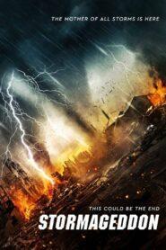 Stormageddon (2015) มหาวิบัติทลายโลก