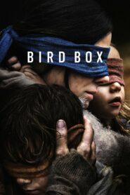 Bird Box (2018) มอง อย่าให้เห็น
