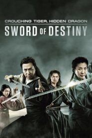 Crouching Tiger Hidden Dragon Sword of Destiny (2016) พยัคฆ์ระห่ำ มังกรผยองโลก 2