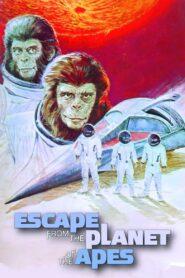 Escape from the Planet of the Apes 3 (1971) หนีนรกพิภพวานร