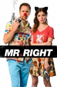 Mr. Right (2016) คู่มหาประลัย นักฆ่าเลิฟ เลิฟ